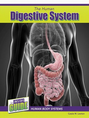 cover image of The Human Digestive System